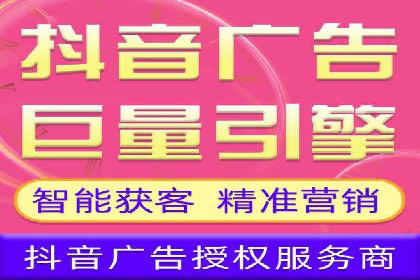 成功SEM竞价托管案例分析报告